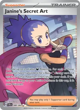 Janine's Secret Art